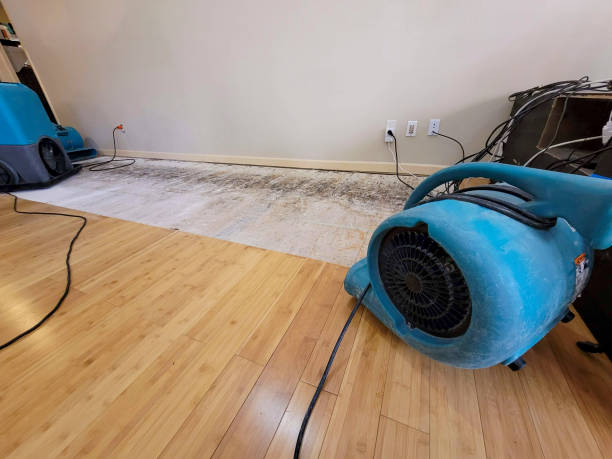 Professional Basement Flood Cleanup technician working in Clothier, WV